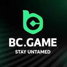 Discover the Excitement of BC App Casino